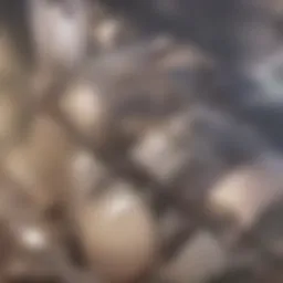 Molecular structure of the TaqPath ProAmp Master Mix