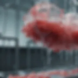 Illustration of coagulation mechanisms in water treatment