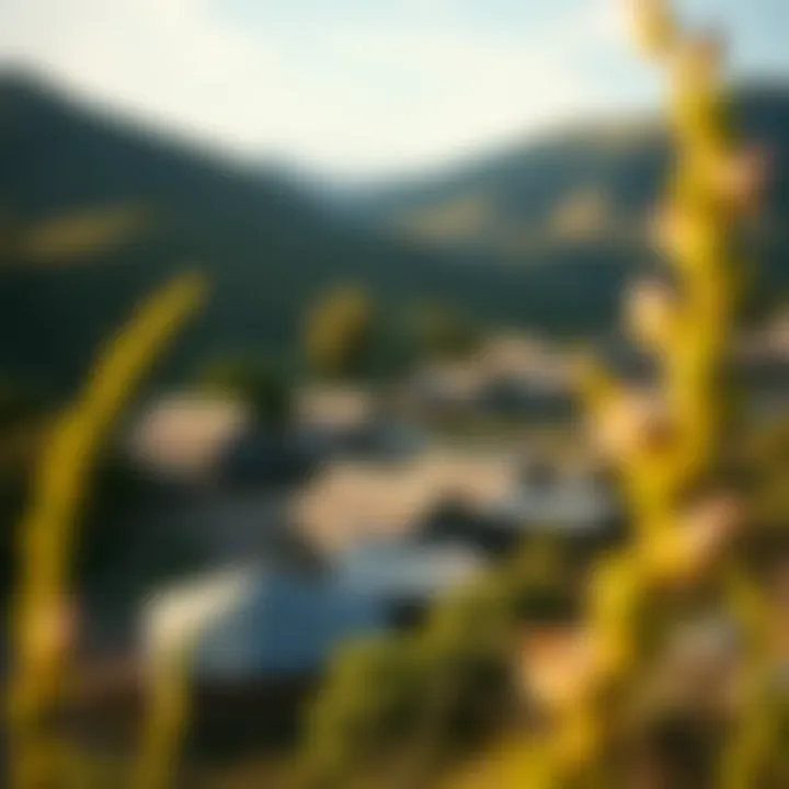 Indigenous Community in Natural Landscape A scenic view of an indigenous community amidst natural landscapes