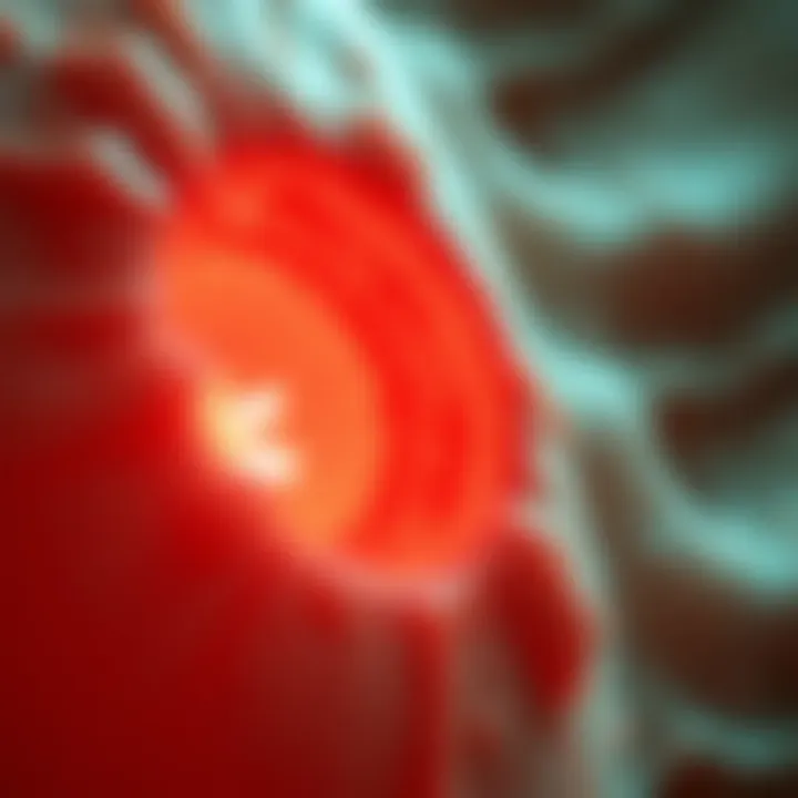 Clinical Consequences of Fibroid Mitosis Clinical implications of fibroid mitosis