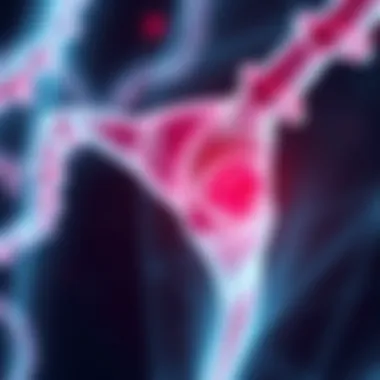 Genetic Influences on Fibroid Growth Genetic factors influencing fibroid growth