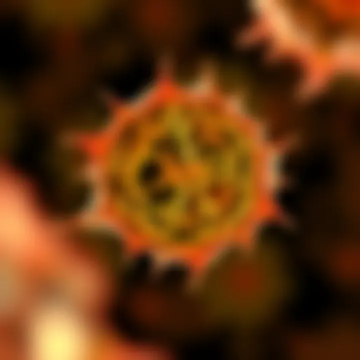 Cellular Division in Fibroids Intricate cellular division of fibroid cells