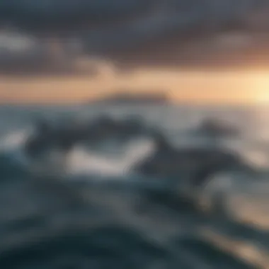 Dolphins in Their Natural Habitat A pod of dolphins swimming gracefully in the open ocean