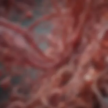 Lipid Accumulation in Arteries Graphical representation of lipid accumulation in arteries