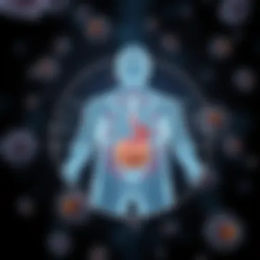 Diagram illustrating the components of the immune system