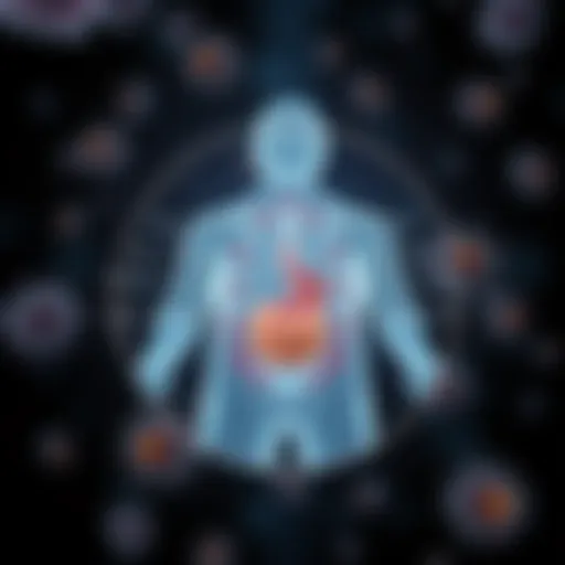 Diagram illustrating the components of the immune system