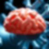 The Interaction Between Carbidopa, Levodopa, and Protein Intake: Implications for Patient Management Introduction