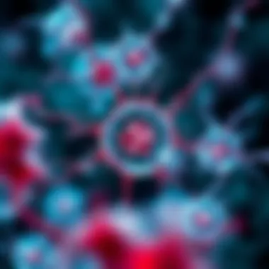 Scientific illustration depicting cellular mechanisms influenced by exercise.