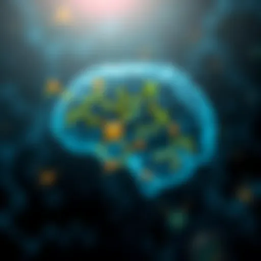 Illustration depicting the biochemical pathways influenced by vitamin D in the brain