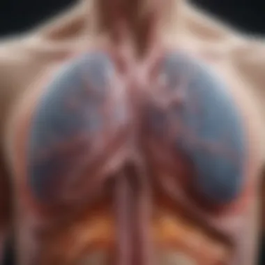 Fluid Accumulation in the Pleural Space Visual representation of fluid accumulation in the pleural space.