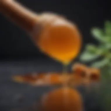A clinical setting highlighting the use of Manuka honey in wound care