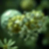 The Multifaceted Role of Nitrogen in Biological and Chemical Processes Introduction