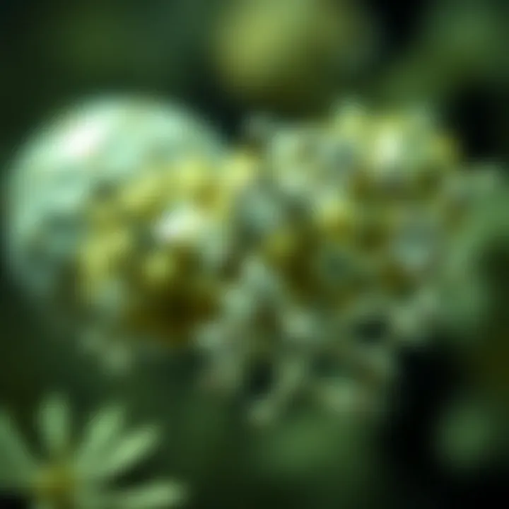 The Multifaceted Role of Nitrogen in Biological and Chemical Processes Introduction