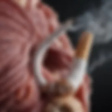 A diagram illustrating the complex relationship between smoking and ulcerative colitis.