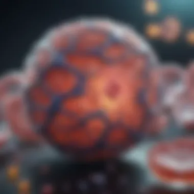 The Role of Bafilomycin A1 in Autophagy Regulation Introduction The Role of Bafilomycin A1 in Autophagy Regulation Introduction