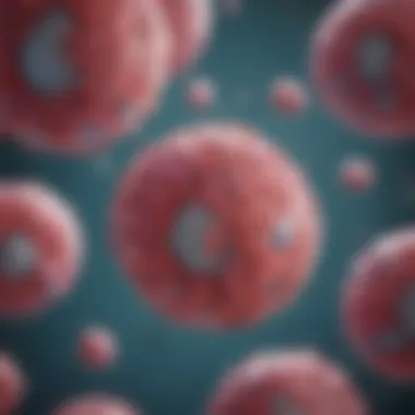 The Role of Bafilomycin A1 in Autophagy Regulation Summary The Role of Bafilomycin A1 in Autophagy Regulation Summary