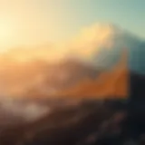 Graph illustrating carbon dioxide levels over the last century