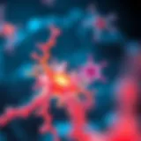 Interplay of IGF-1 and Growth Hormone Illustration depicting the interaction between IGF-1 and growth hormone