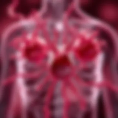 Visual representation of IGF-1's production sites in the body