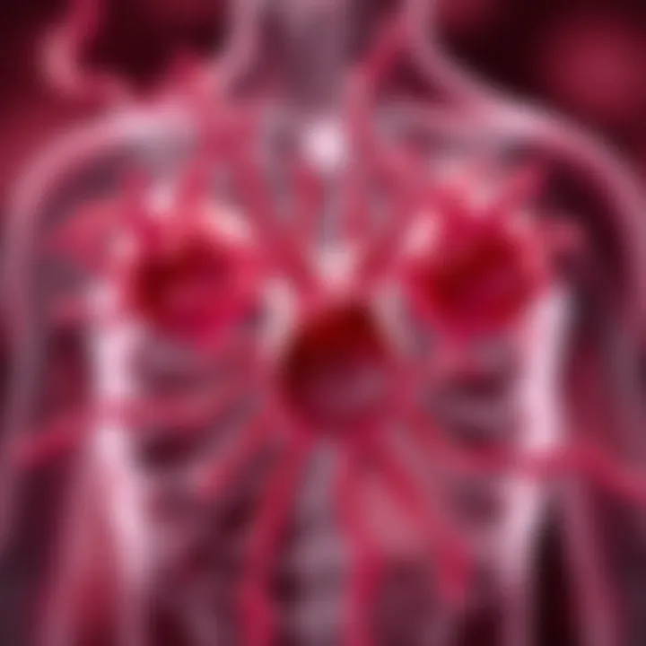 Visual representation of IGF-1's production sites in the body