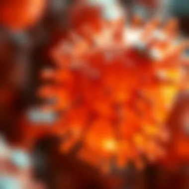 Cellular Aging: Insights from Niacin and NMN Conceptual representation of aging at the cellular level