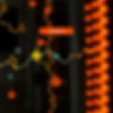 Energy Metabolism: The Role of Niacin and NMN Diagram illustrating energy metabolism pathways