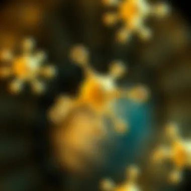 Understanding Niacin: Molecular Insights The molecular structure of niacin