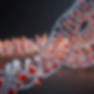 Transcription in Protein Synthesis Diagram showing transcription process in protein synthesis