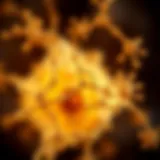 Biochemical Pathways of Vitamin D in Cancer The biochemical pathways influenced by vitamin D in cancer management