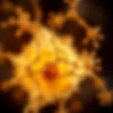 Biochemical Pathways of Vitamin D in Cancer The biochemical pathways influenced by vitamin D in cancer management