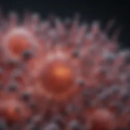 Mammalian cells showcasing antibody expression.