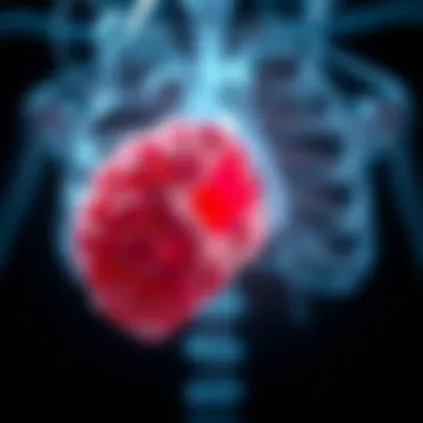 Treatment strategies for invasive ductal carcinoma with medullary features