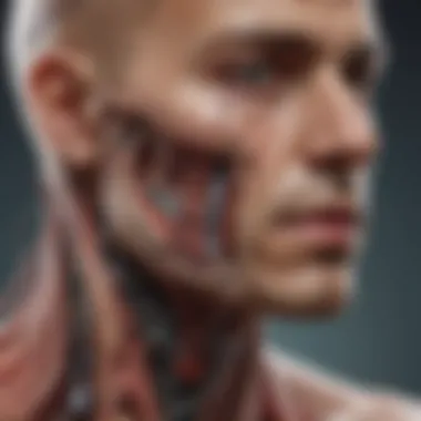 Anatomical Impact of Trismus Illustration depicting the anatomical structures affected by trismus