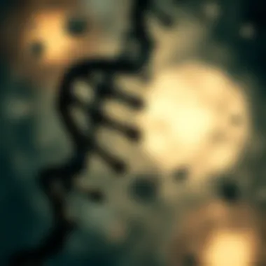 Types of Genetic Mutations: A Comprehensive Overview Summary