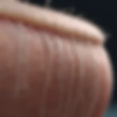 Close-up of absorbable sutures