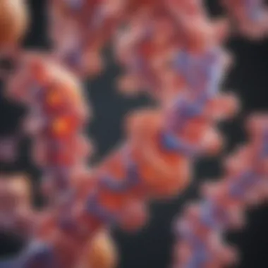 BRAF Gene Structure and Function Visual representation of the BRAF gene structure.