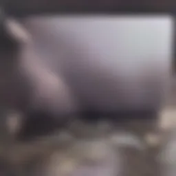 Understanding Breast Cancer Heritability Introduction