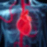 Diagram illustrating the interaction between CAD and hypertension