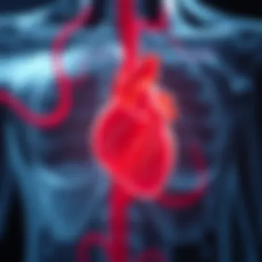 Diagram illustrating the interaction between CAD and hypertension