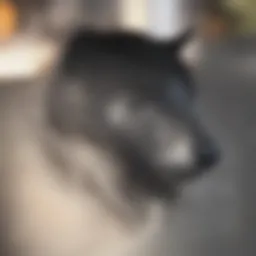 A close-up of a dog's face displaying a range of emotions