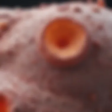 Diagnostic Techniques for Carcinoma in Situ Graphical representation of diagnostic techniques used to identify carcinoma in situ.