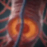 Anatomical illustration of colorectal cancer and its metastatic pathways