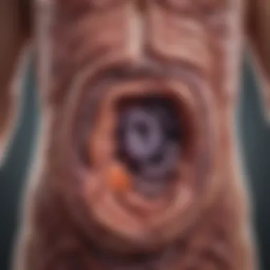 Common Metastatic Sites in Colorectal Cancer Diagram showing common organs affected by colorectal cancer metastasis
