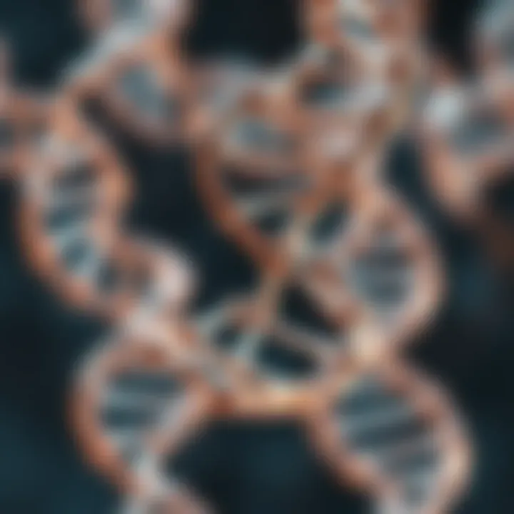 The Elegant Structure of DNA Illustration of DNA double helix structure