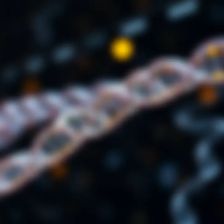 Applications of DNA Sequencing in Genetics Graphic representation of genetic analysis applications