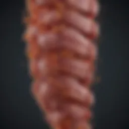 Graph depicting liver enzyme levels over time