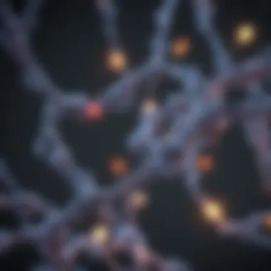 Genetic Links to Prostate Cancer Diagram of specific genes linked to prostate cancer