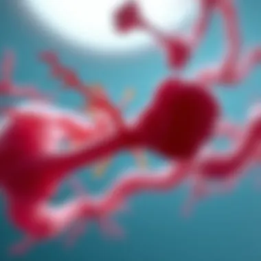 Notable Understanding Graft versus Host Disease
