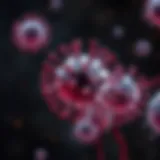 Illustration depicting the immune response in myasthenia gravis