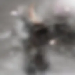 Diverse representation of gut microbiota